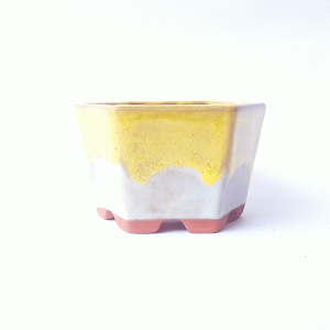 Vaso Hexagonal Esmaltado Cor Amarelo e Branco